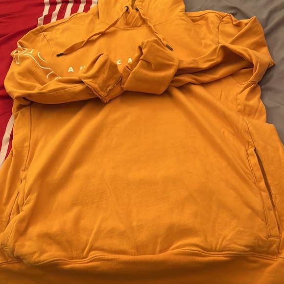Gold American Eagle hoodie, Size Medium - Picture 2 of 4